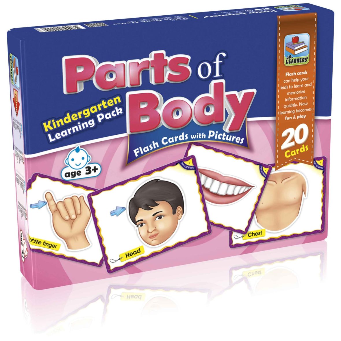 Parts of Body Flash Cards Large