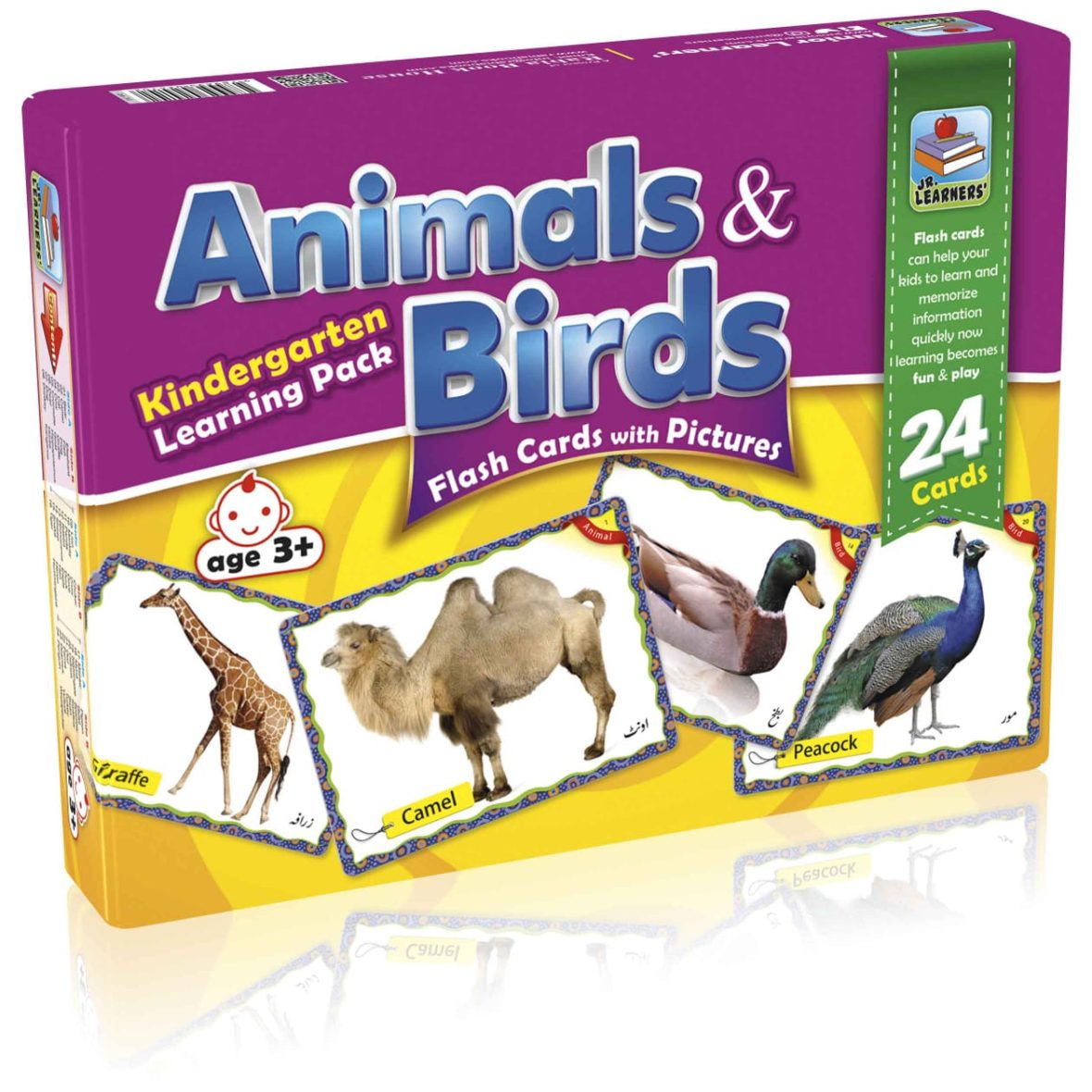 Animals & Birds Flash Cards Large