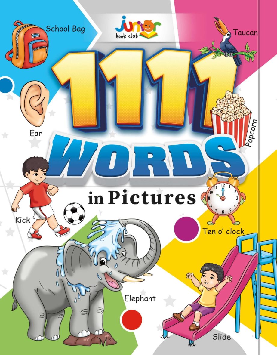 1111 Words in Pictures